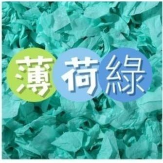 現貨速發 妖寵記紙棉400g 純木漿 倉鼠 黃金鼠 侏儒鼠 四季通用 安心用墊材-規格圖2