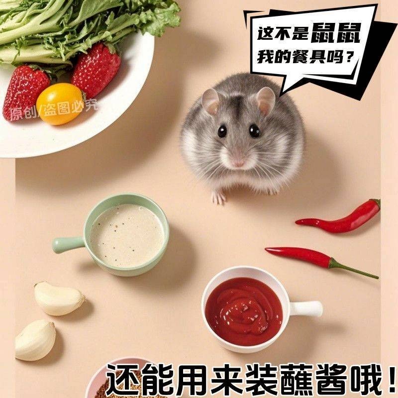 倉鼠碗 沾料碟 塑膠寵物碗附手把家用小型寵物食盆倉鼠喝水餵食碗迷你小碗-細節圖4