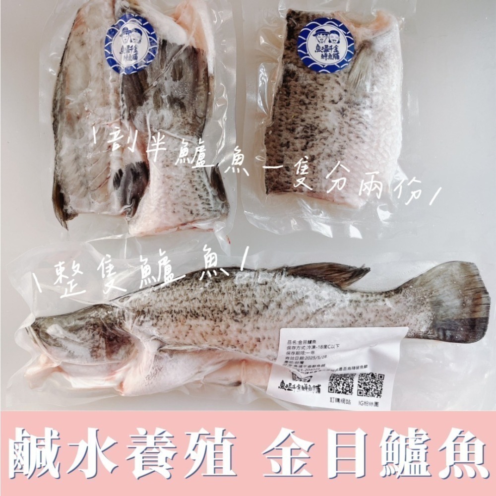 鹹水鱸魚