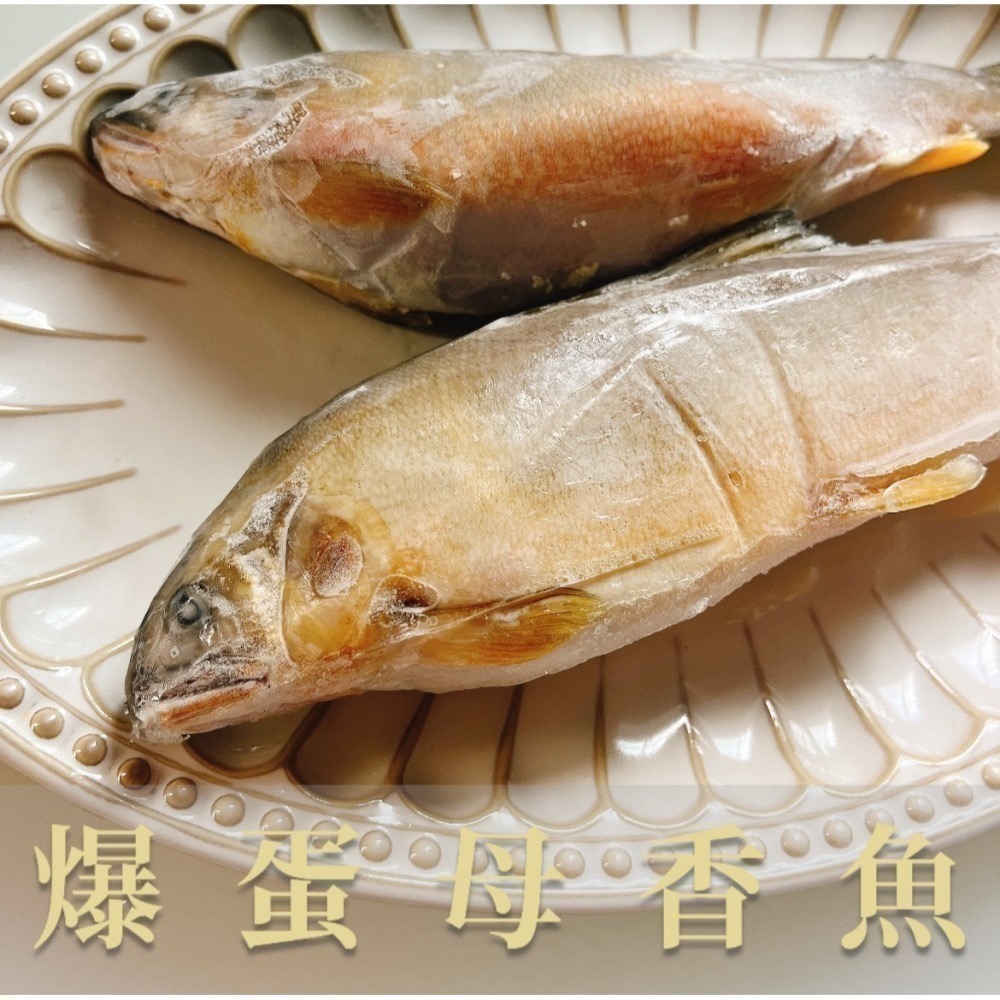 爆蛋母香魚＆公香魚
