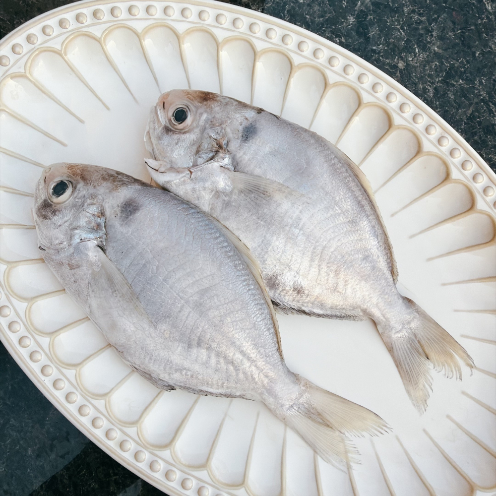 【新品上架】台灣野生肉魚（中/大/特大）-細節圖2