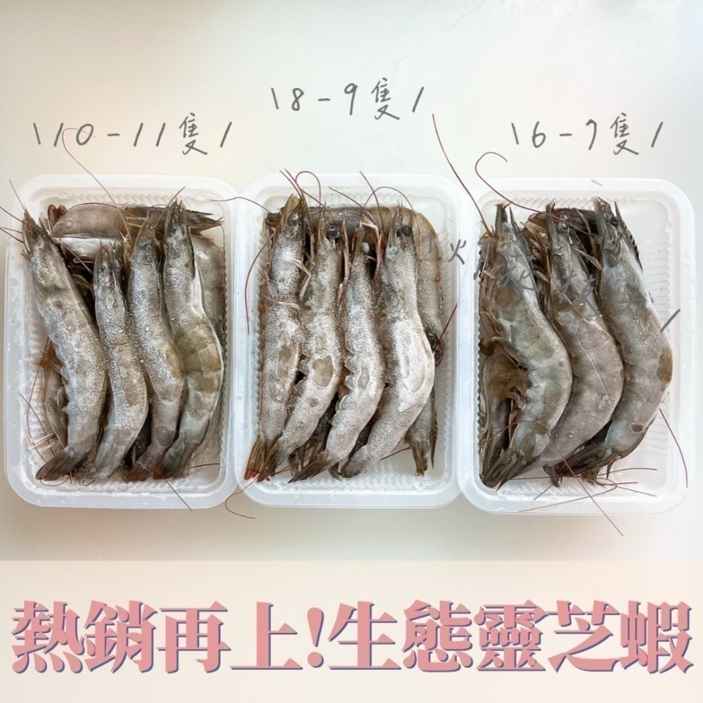 頂級靈芝蝦