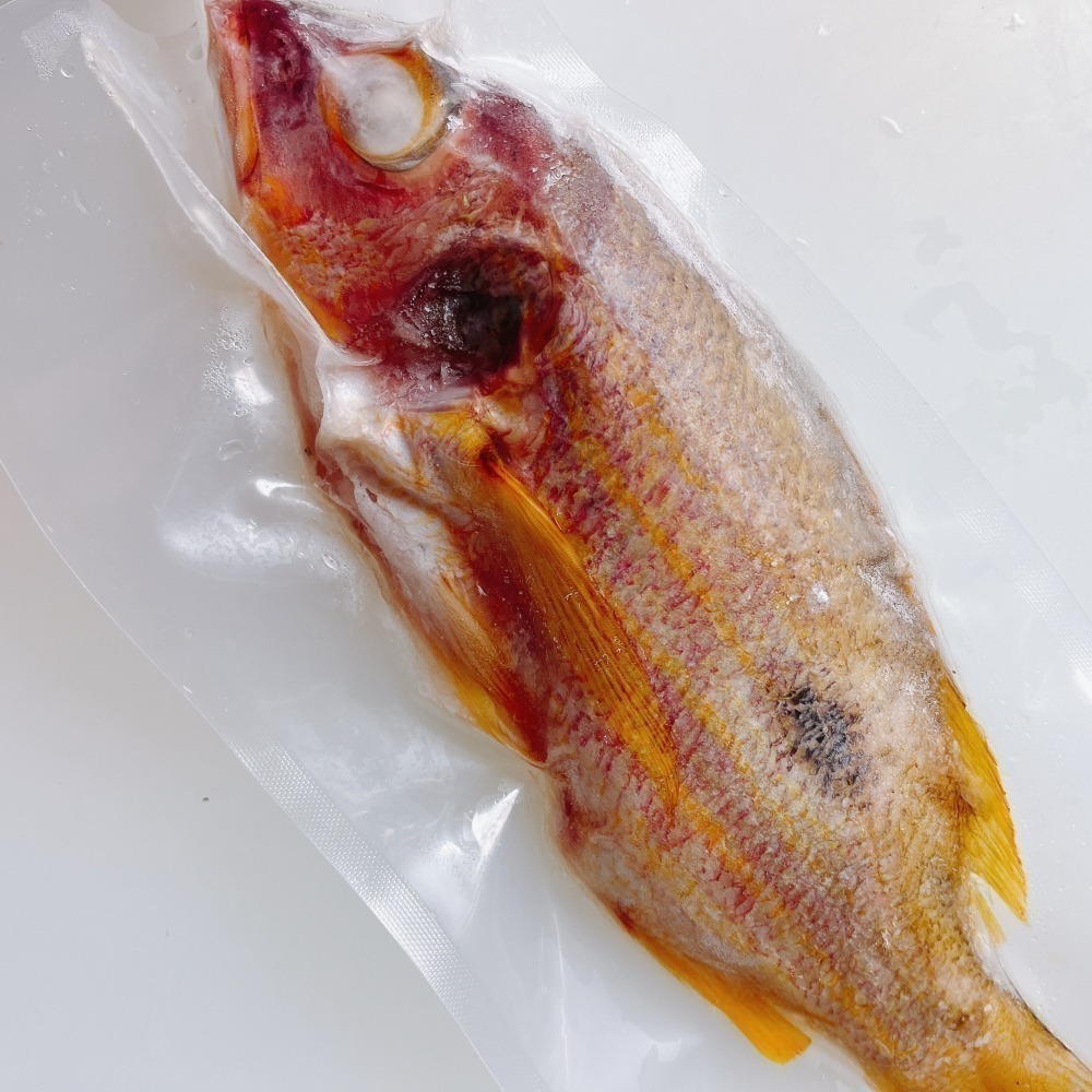 澎湖手釣黃雞母-細節圖2