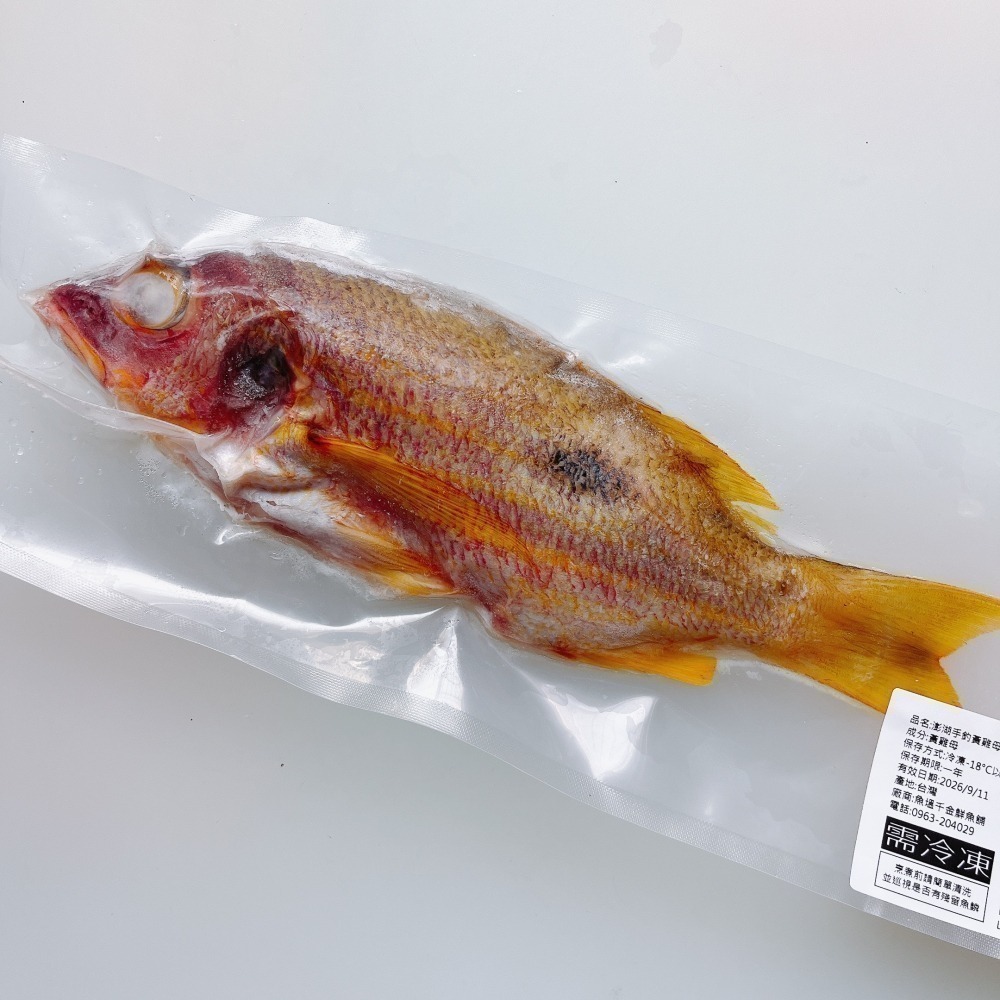 澎湖手釣黃雞母-細節圖3