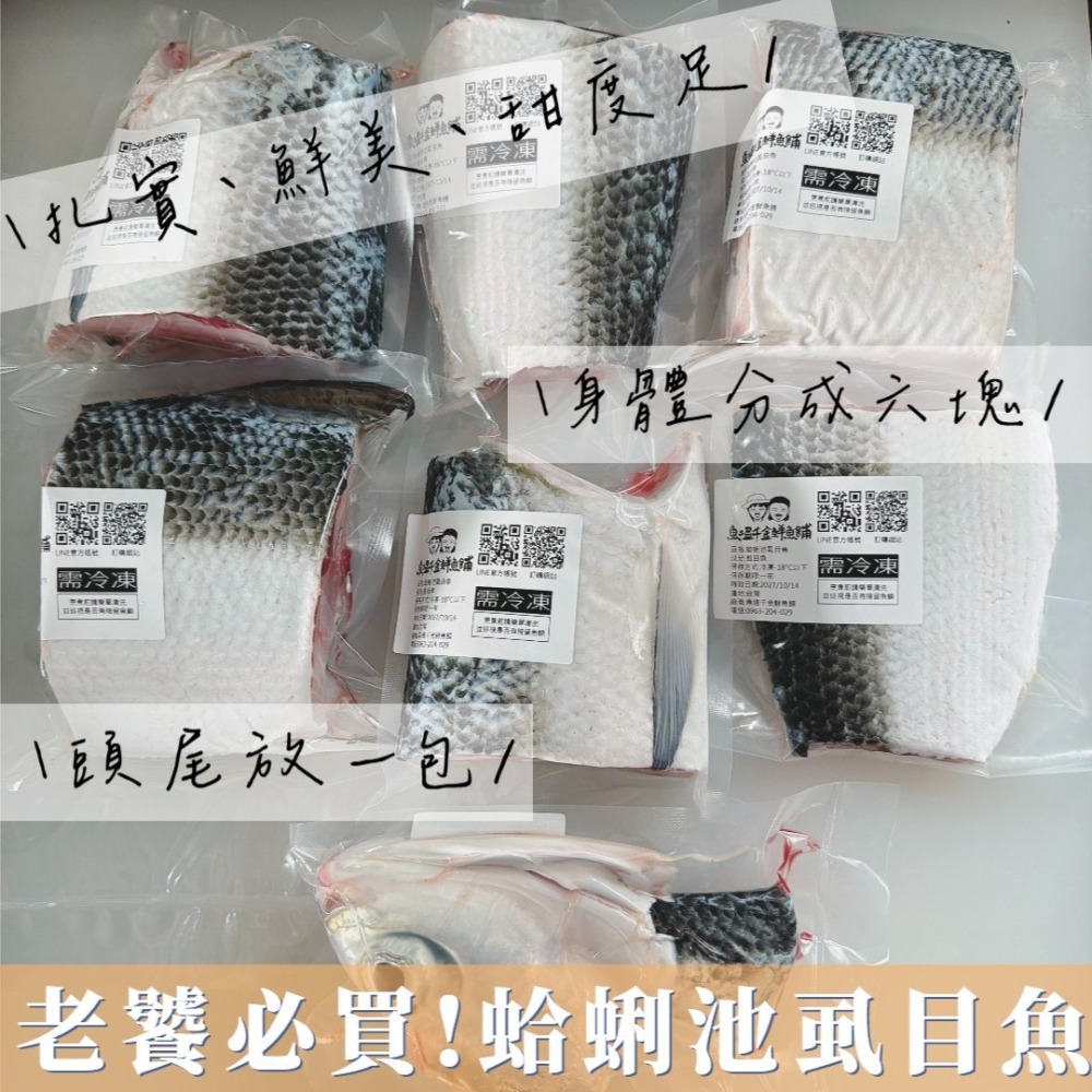 老饕必買！蛤蜊池虱目魚