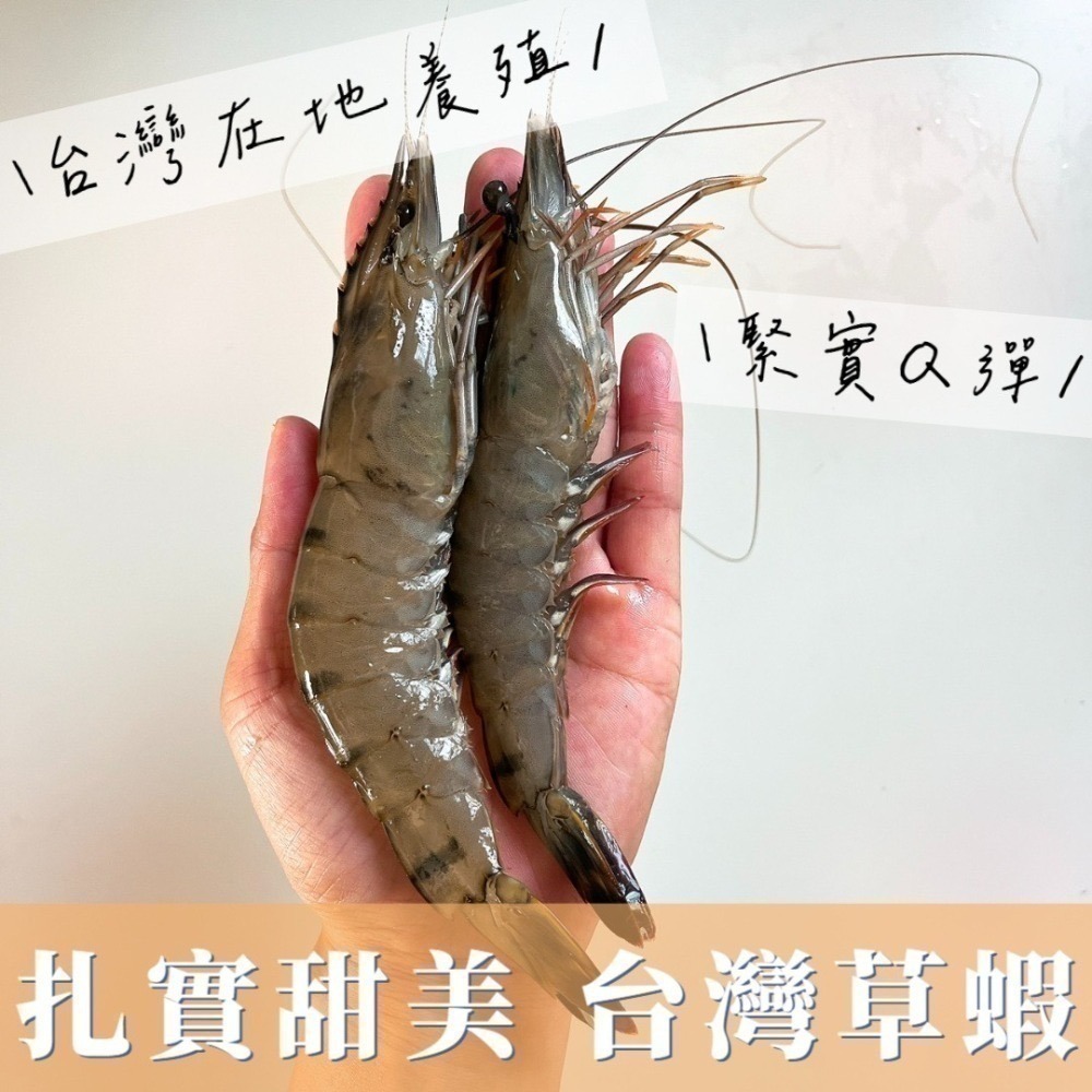 台灣草蝦