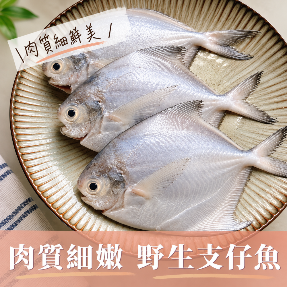 【新品上架】野生支子魚