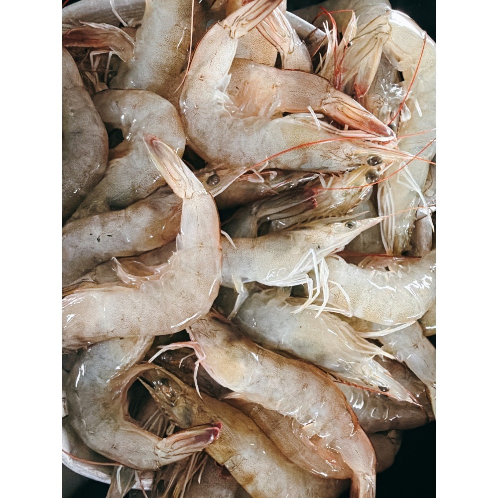 東石鮮凍白蝦( 中蝦三入特惠組!!)-細節圖3