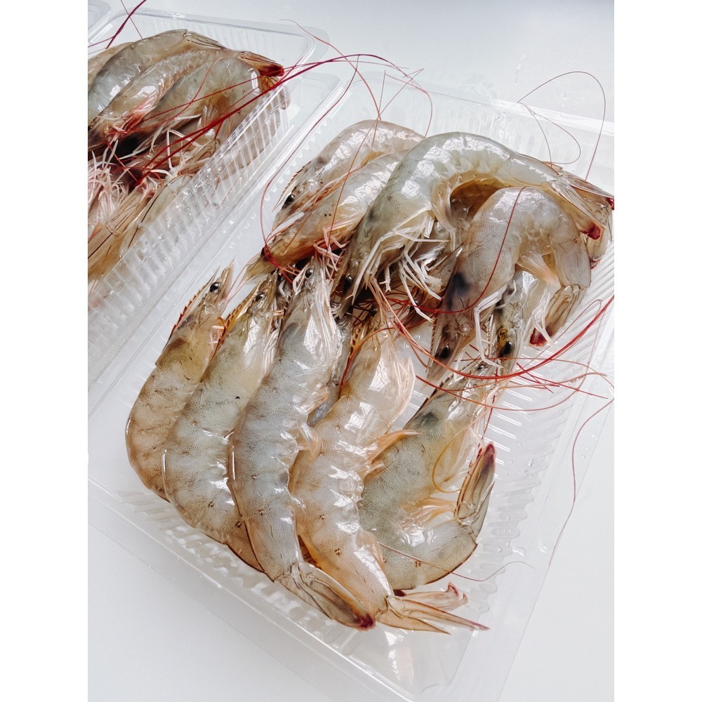 東石鮮凍白蝦( 中蝦三入特惠組!!)-細節圖4