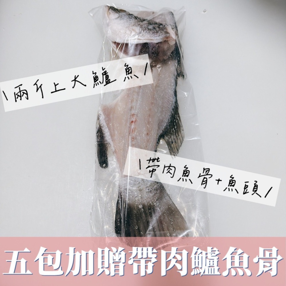 NEW❤️滴虱目魚精-細節圖3