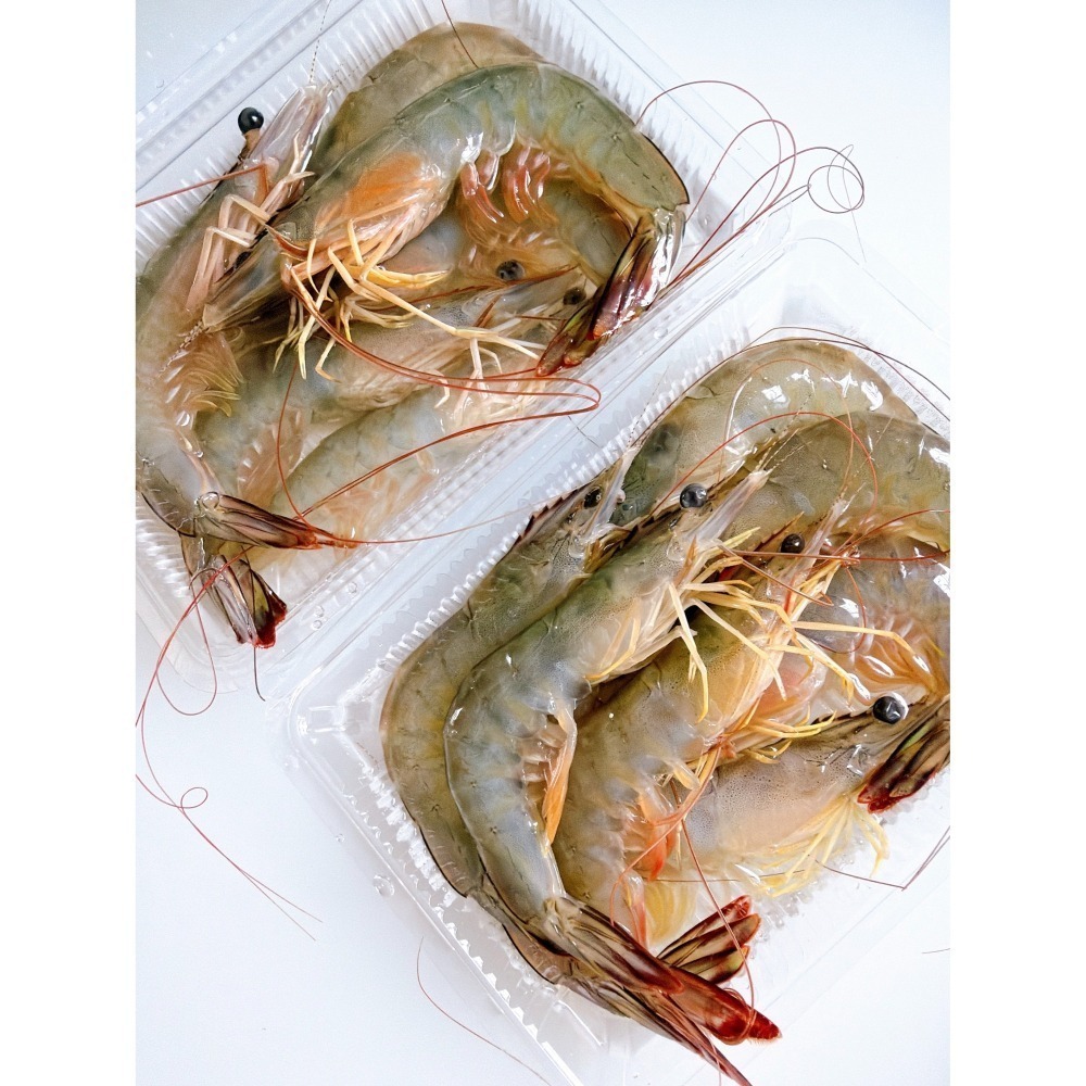 【新上架】超限定！野生放網海蝦-細節圖2