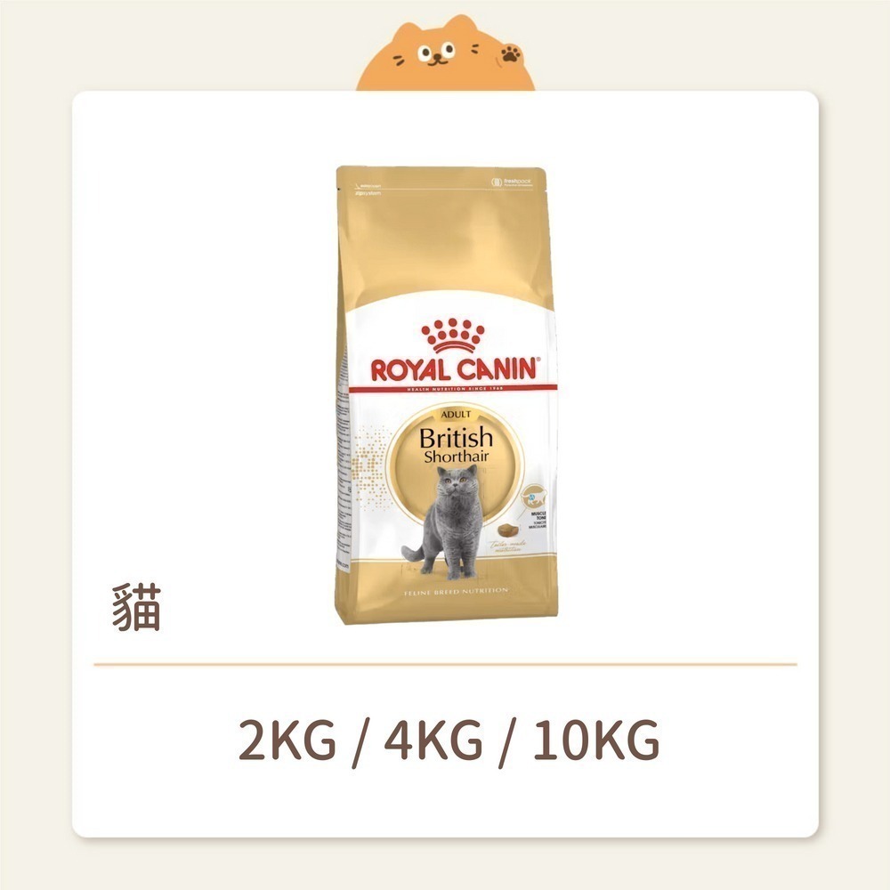 【法國皇家】貓咪 一般飼料 品種系列 BS34 英國短毛成貓
