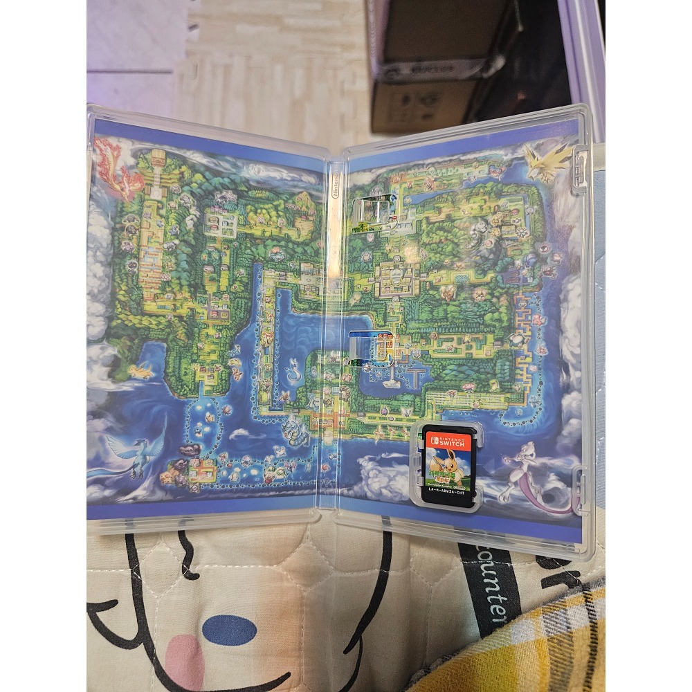 寶可夢伊布-細節圖2