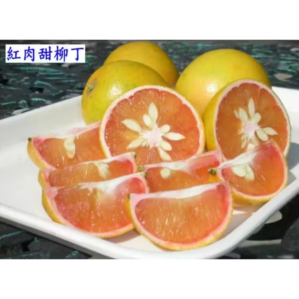 自產自銷～老欉紅肉柳丁-細節圖2