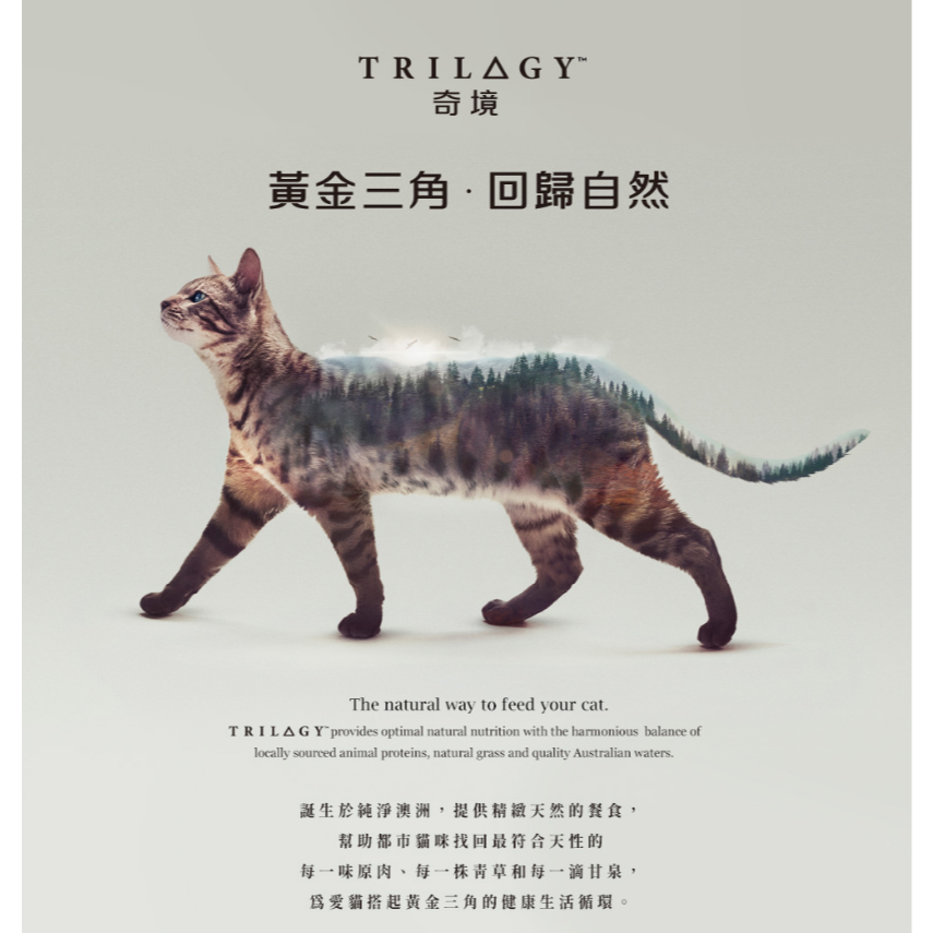 奇境貓飼料300G 全口味現貨【毛球崛起】奇境無穀貓飼料凍乾貓糧 (袋鼠/牛肉/鱸魚/鮭魚) 價格優惠-細節圖2