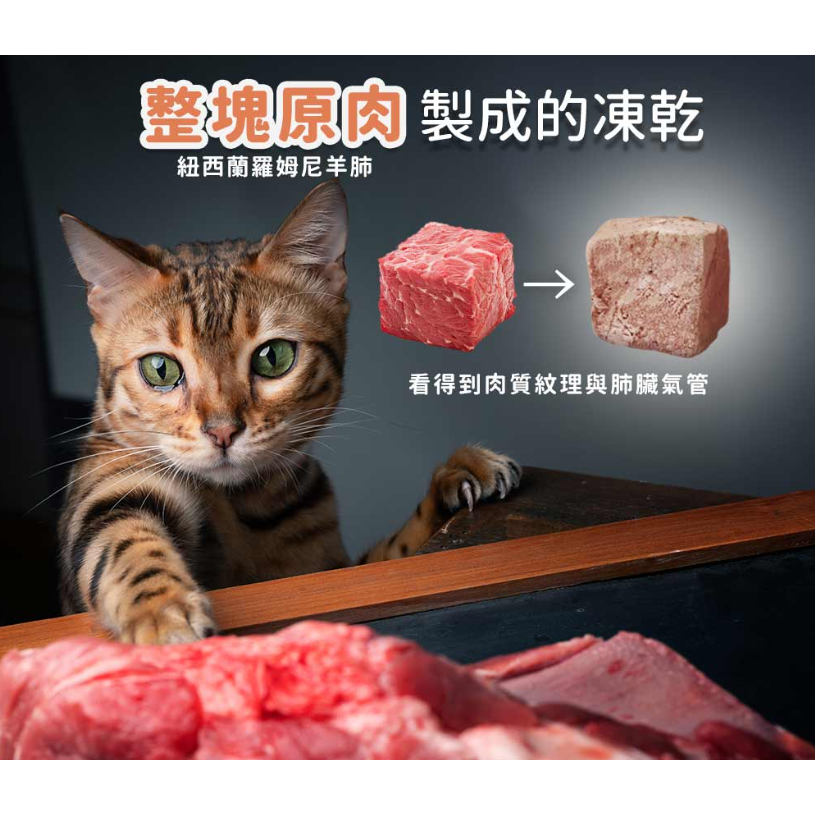 奇境貓飼料300G 全口味現貨【毛球崛起】奇境無穀貓飼料凍乾貓糧 (袋鼠/牛肉/鱸魚/鮭魚) 價格優惠-細節圖8