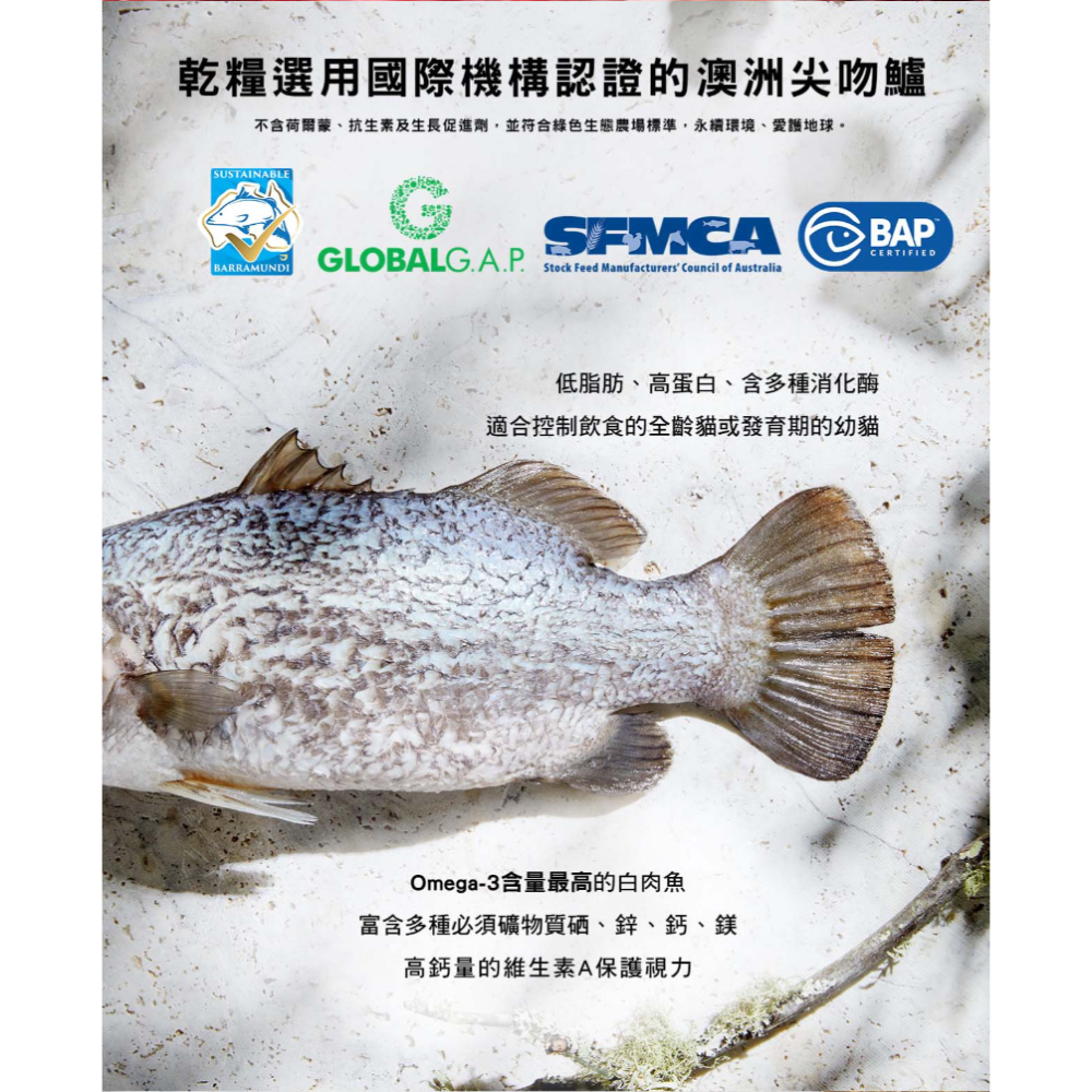 奇境貓飼料300G 全口味現貨【毛球崛起】奇境無穀貓飼料凍乾貓糧 (袋鼠/牛肉/鱸魚/鮭魚) 價格優惠-細節圖9