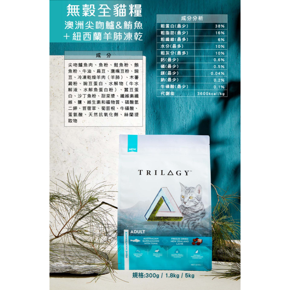 奇境鱸魚