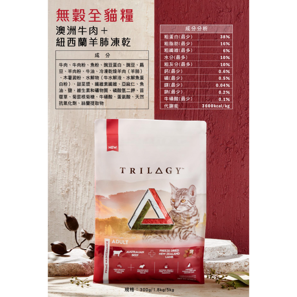 奇境牛肉