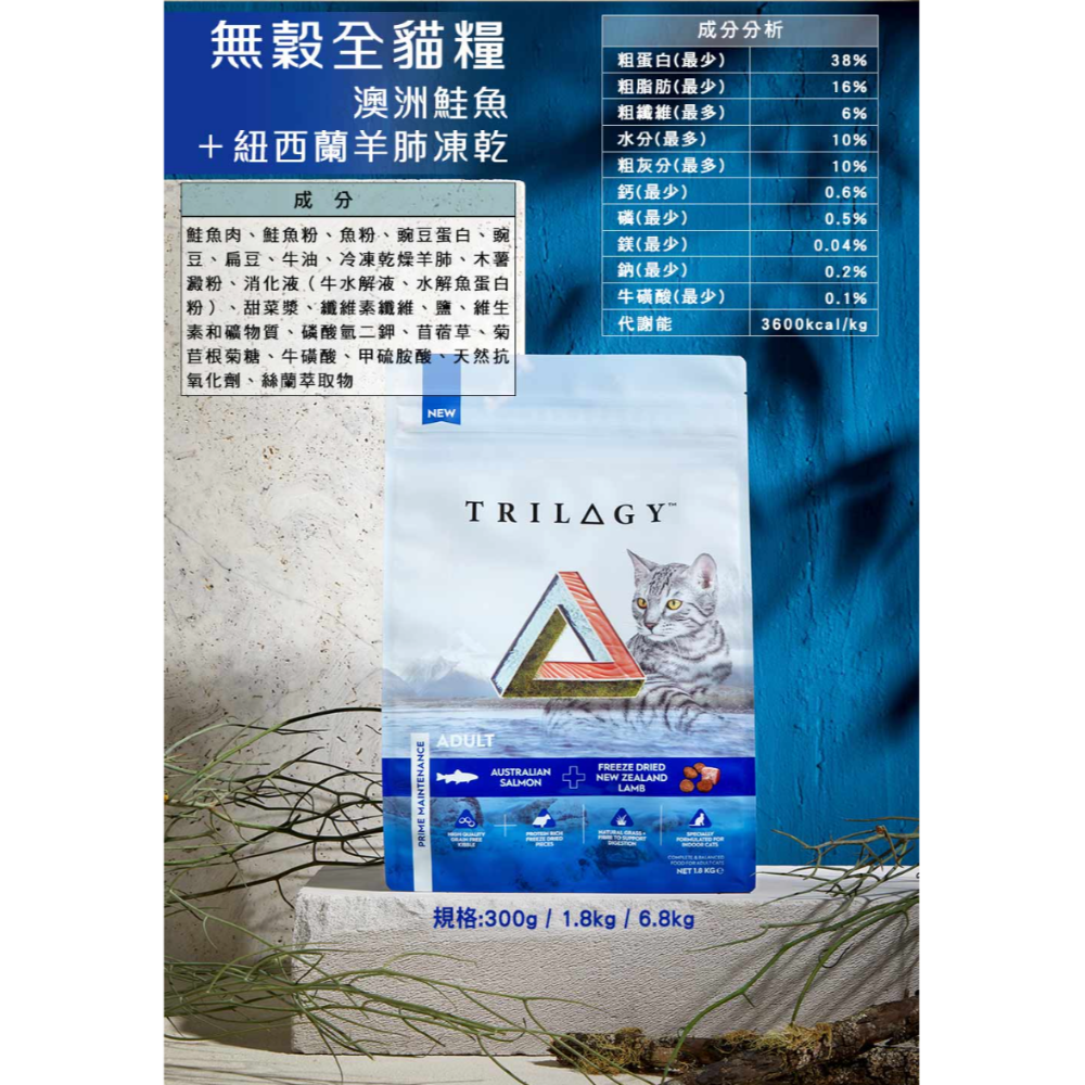 奇境鮭魚