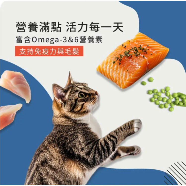 心靈雞湯貓飼料4.5磅大優惠 WDJ推薦貓飼料 全齡貓適用 經典 黑標 可選【毛球崛起】7-11出貨-細節圖2