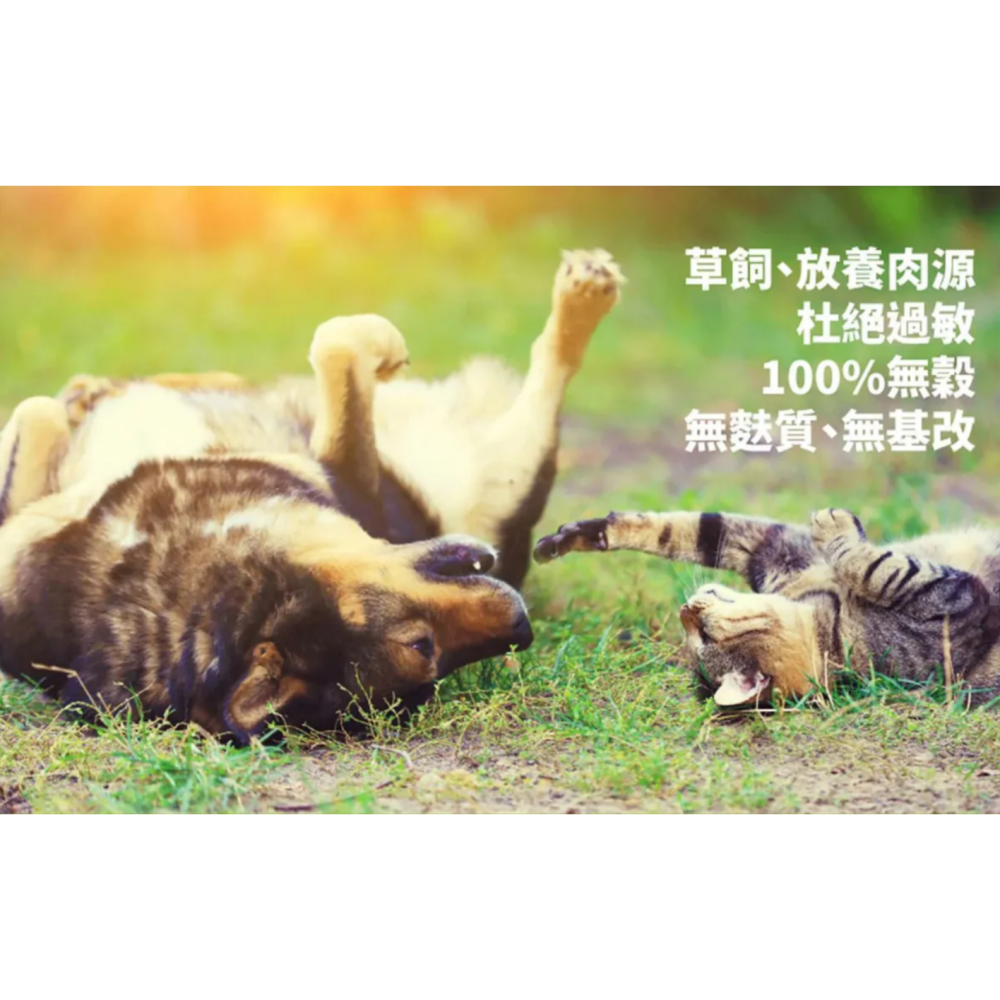 野宴無穀狗飼料15磅 |紐西蘭全齡犬狗乾糧 | 犬乾糧 T.N.A.悠遊寵物【毛球崛起】-細節圖3