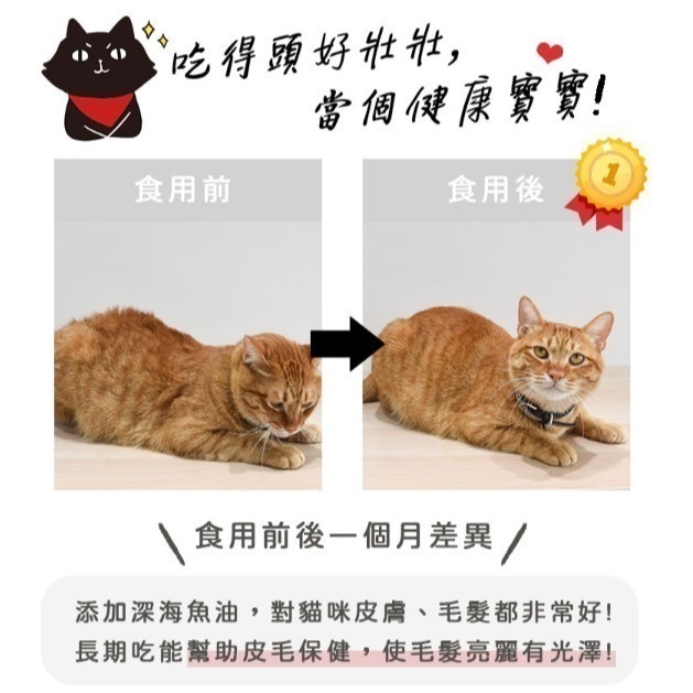 貓樂園無敵貓糧蜂王乳 6KG 優惠促銷中｜貓樂園無穀貓飼料 蜂王乳配方《毛球崛起》7-11取貨快速方便-細節圖8