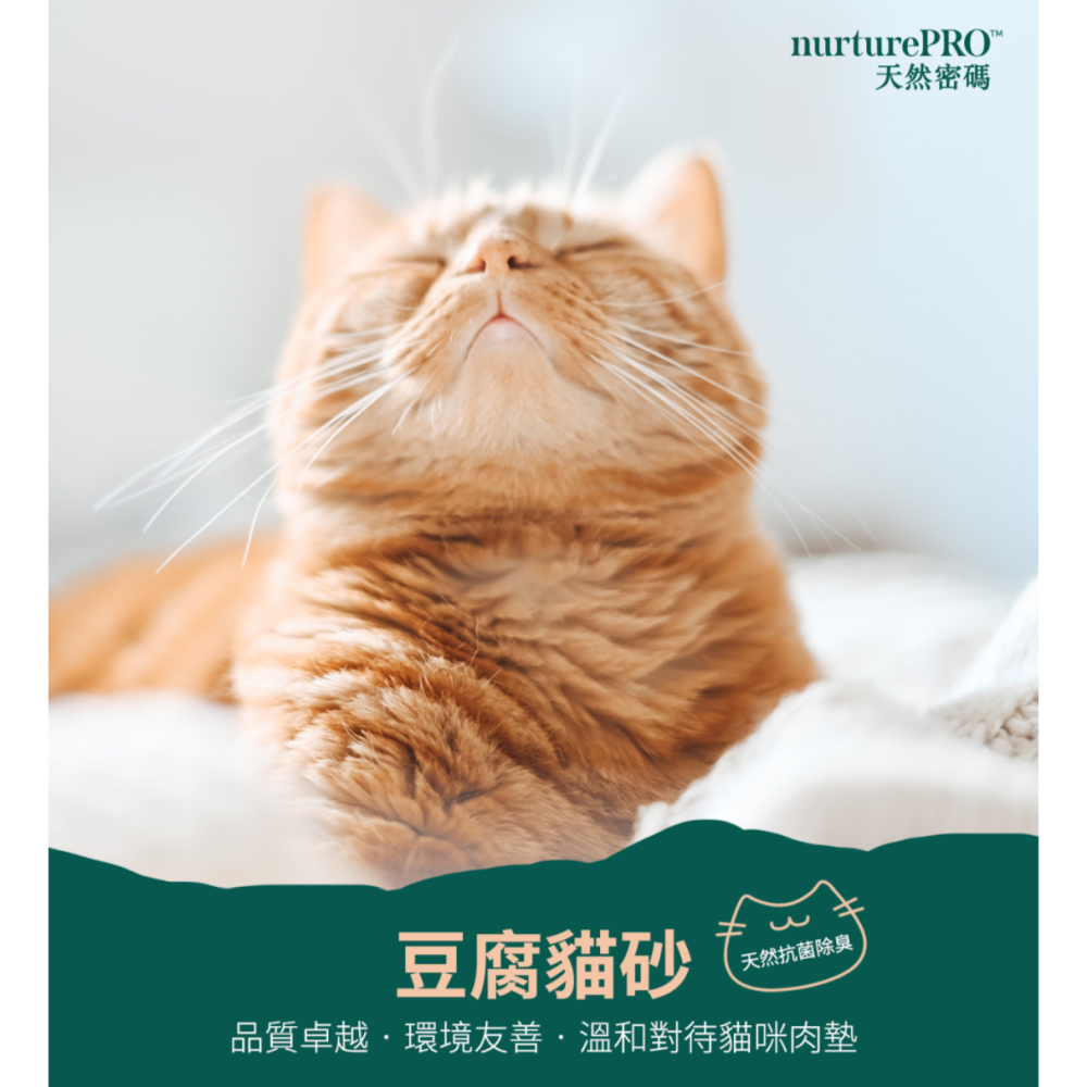 天然密碼豆腐貓砂 6L 活性碳【毛球崛起】可沖馬桶/低粉塵環保貓砂 (優惠價)-細節圖2