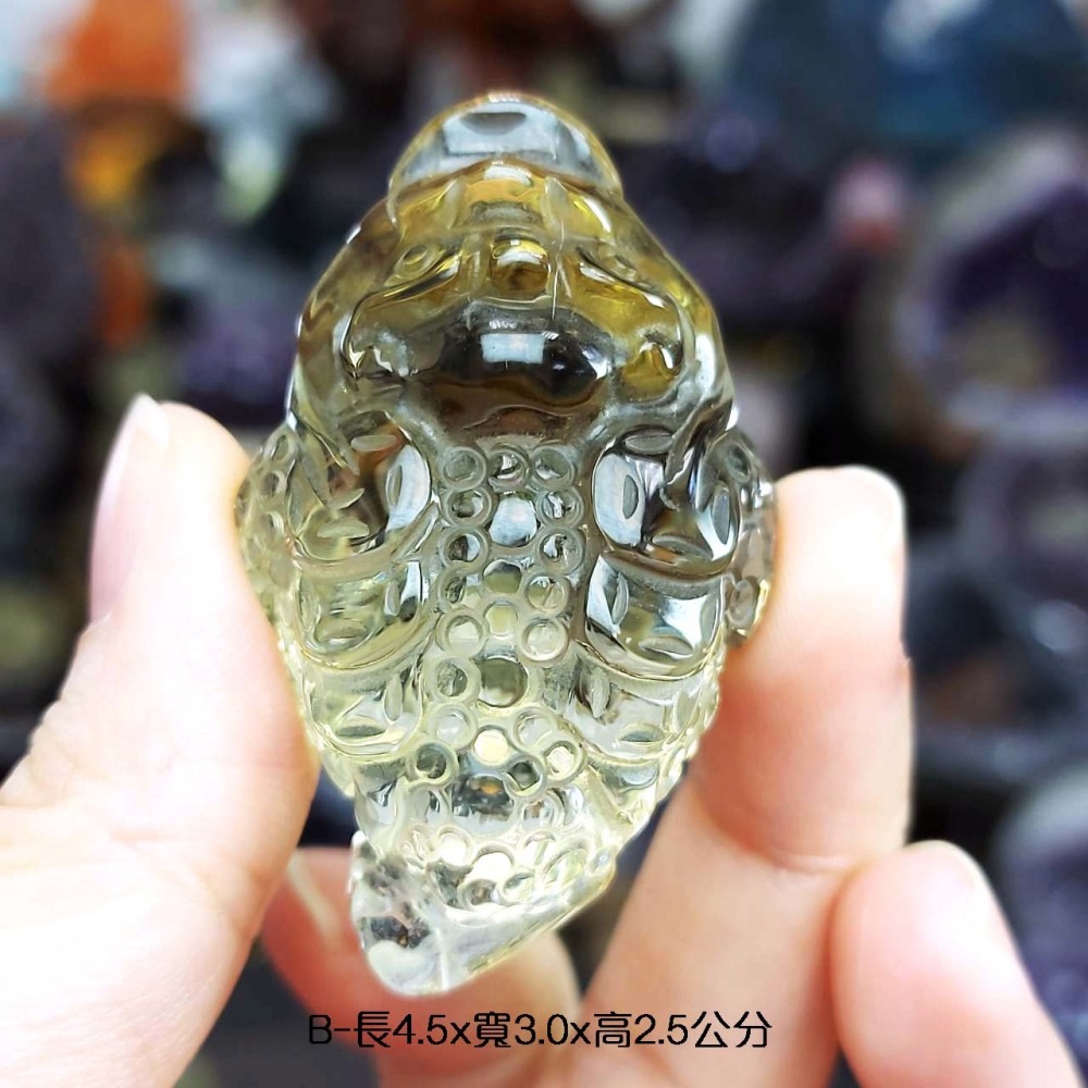 黃水晶 金蟾 金幣金蟾*一圖一物*超強咬錢小神物 招財 聚財 提升財運-細節圖5