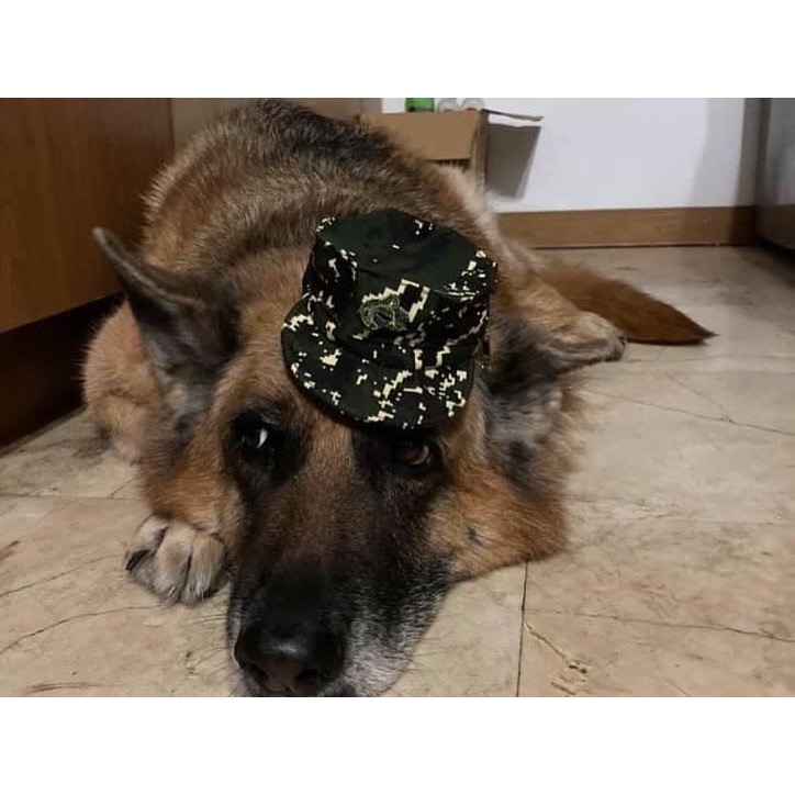 德牧+柯基頭部吊飾訂製-細節圖2