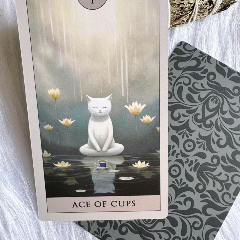 免運 預購❤️莉莉塔羅❤️正版 Cat Tarot 神秘貓塔羅牌 偉特 卡牌 占卜-細節圖3