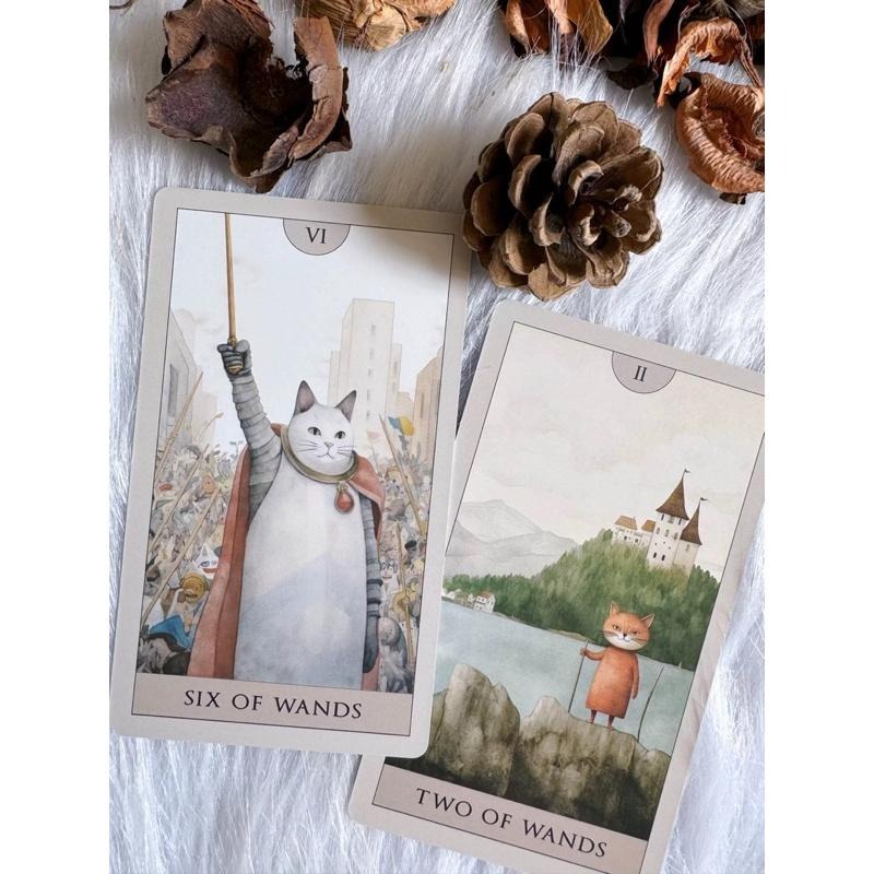 免運 預購❤️莉莉塔羅❤️正版 Cat Tarot 神秘貓塔羅牌 偉特 卡牌 占卜-細節圖6