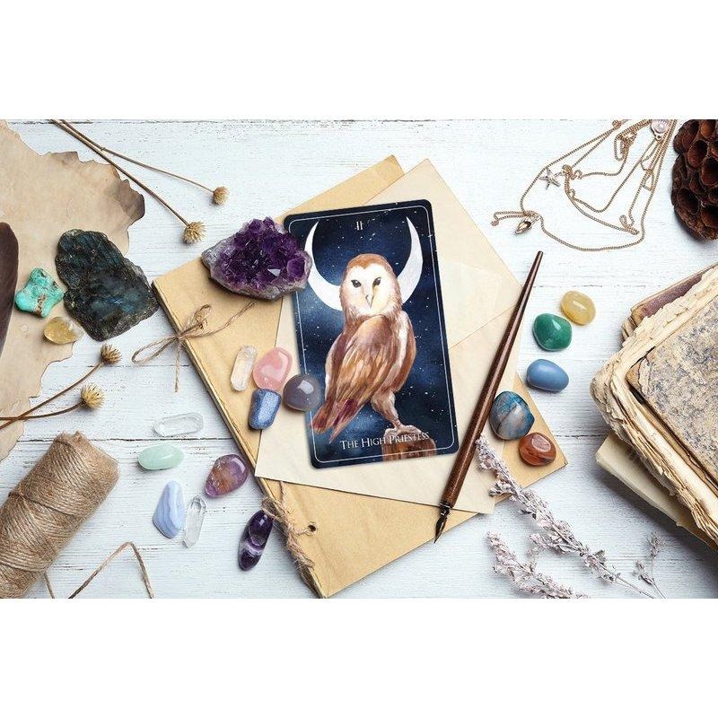 免運 預購❤️莉莉塔羅❤️正版 Wild Child Tarot 荒野之子塔羅牌卡 偉特 卡牌 占卜-細節圖5