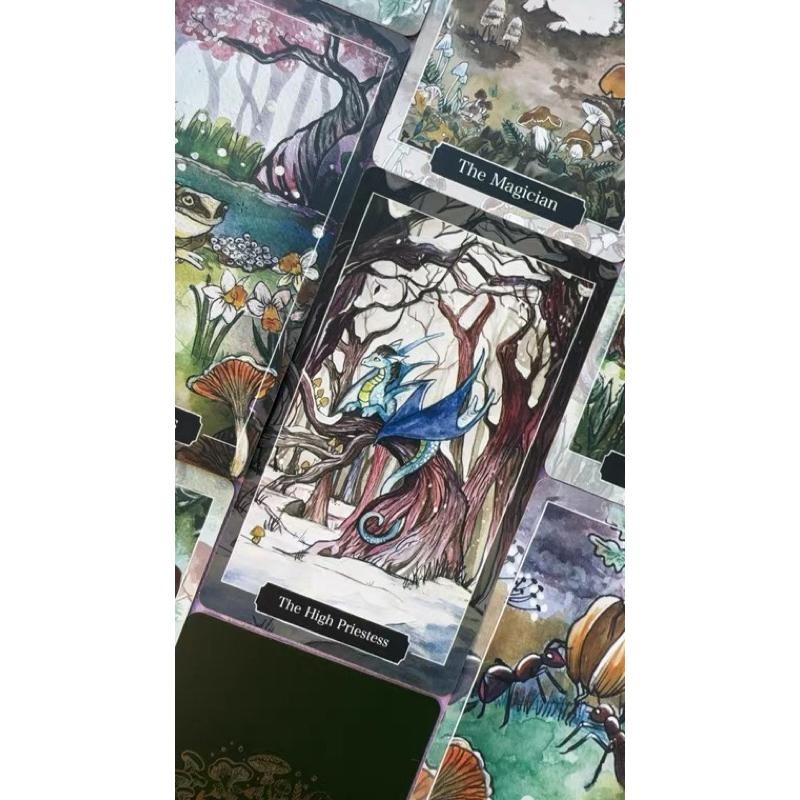 ❤️莉莉塔羅❤️正版 Spirits of the Woodland Tarot 林地精靈塔羅牌 偉特 卡牌 占卜卡牌-細節圖6