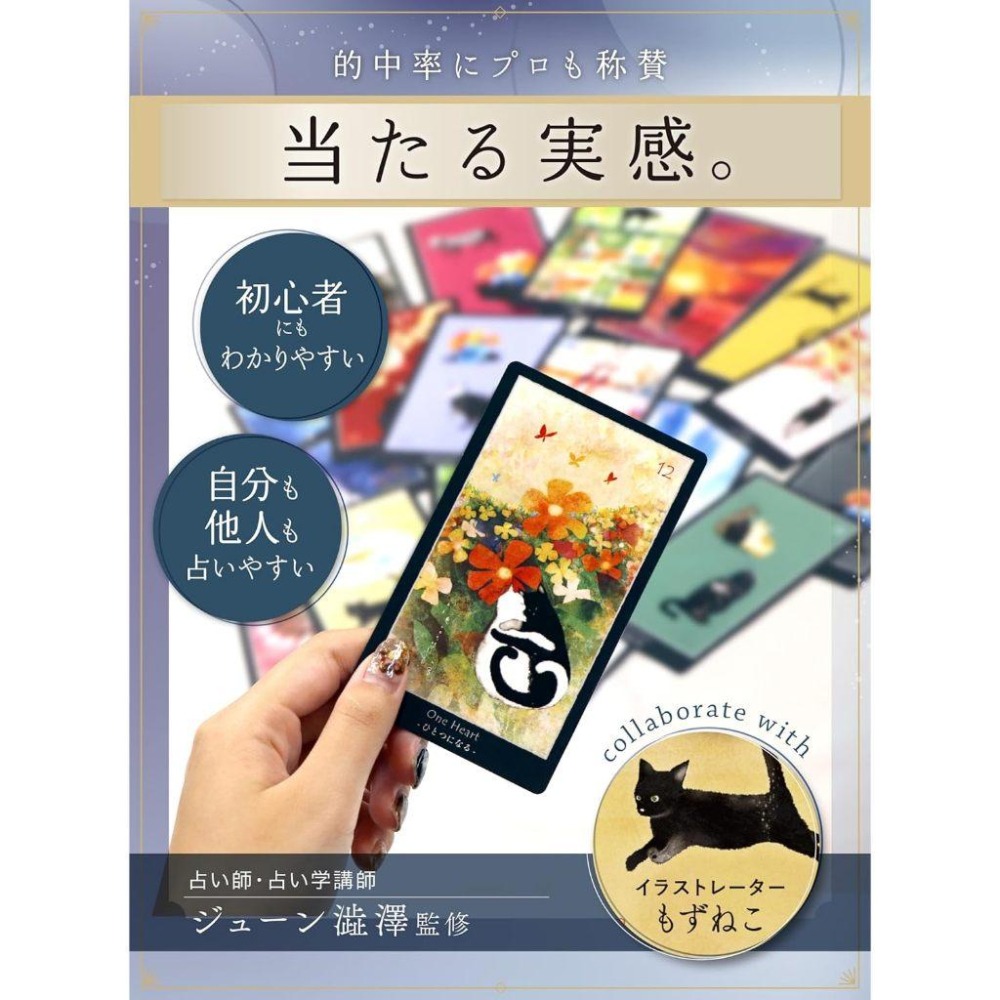❤️莉莉塔羅❤️正版 日本 神諭卡 Shadow Cat Tarot 黑貓占卜卡 影貓塔羅牌 偉特 卡牌 占卜卡牌-細節圖7