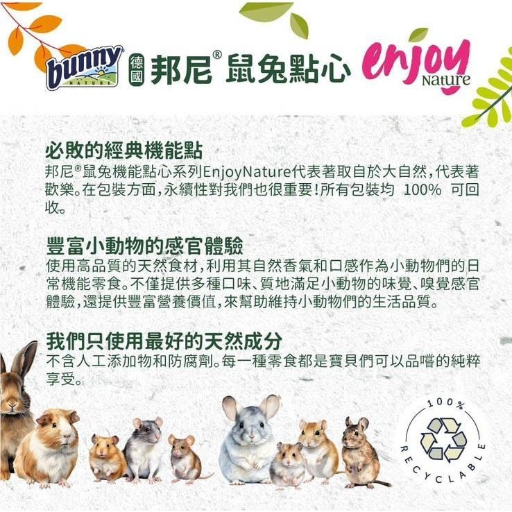 魏啥麻-德國邦尼Bunny益生元零食 35g (菊芋莖)含天然益生元-菊粉 (兔 天竺鼠 龍貓 磨牙 啃木)-細節圖4