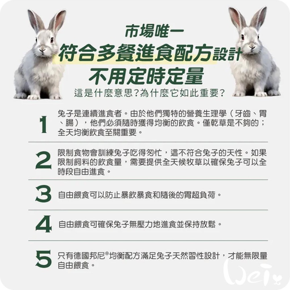 魏啥麻-德國邦尼Bunny成兔無糖草莓+薄荷配方 (小顆粒 75種草本 低鈣 含草莓凍乾 薄荷葉 茴香籽粗纖維高)兔飼料-細節圖8