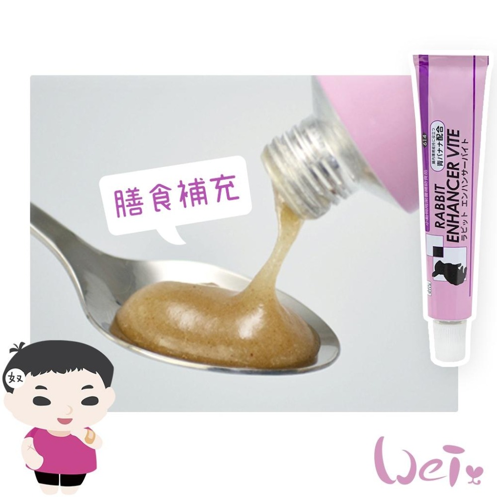 魏啥麻-日本Sanko 草食動物糊狀膳食補充膏劑(添加未熟青香蕉與維生素B12) 兔 天竺鼠-細節圖2