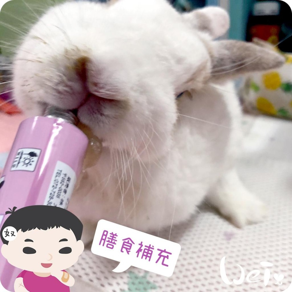 魏啥麻-日本Sanko 草食動物糊狀膳食補充膏劑(添加未熟青香蕉與維生素B12) 兔 天竺鼠-細節圖3