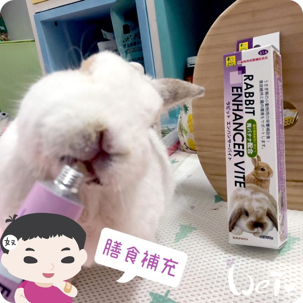 魏啥麻-日本Sanko 草食動物糊狀膳食補充膏劑(添加未熟青香蕉與維生素B12) 兔 天竺鼠-細節圖4