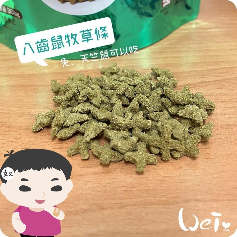 魏啥麻-日本HI PET 極 八齒鼠牧草條300g(低鈣 無糖 蛋白高17% 含乳酸菌 絲蘭 輔酶Q10)兔天竺鼠可吃-細節圖2