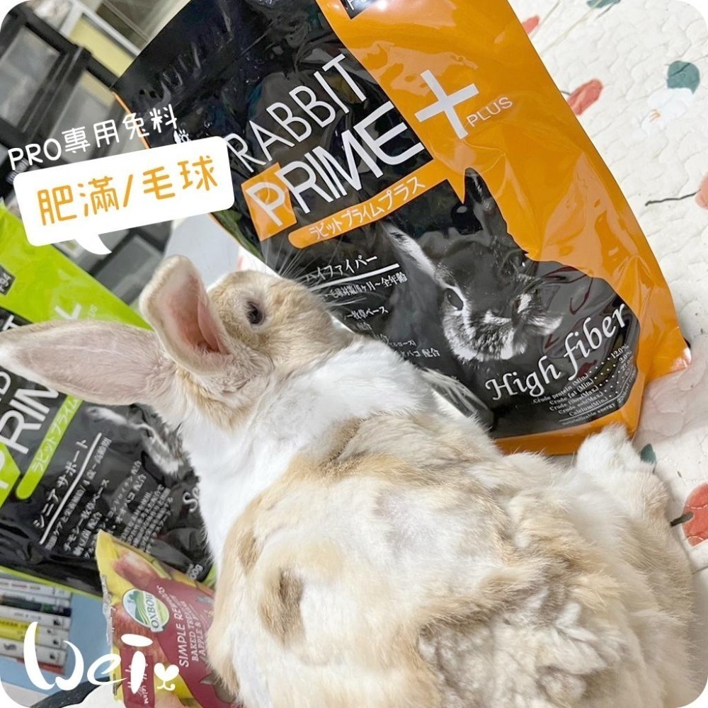 魏啥麻-日本SANKO PRO肥滿/毛球飼料 900g(低鈣 粗纖維高 納豆芽苞益菌 纖維素 植物多酚 蒲公英 車前草)-細節圖4