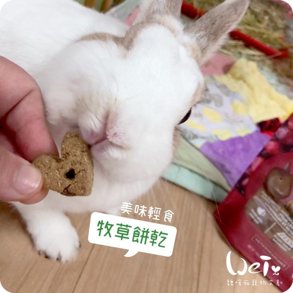 魏啥麻- 美國OXBOW 蔬菜牧草零食 85g (兔 天竺鼠牧草餅)-細節圖4