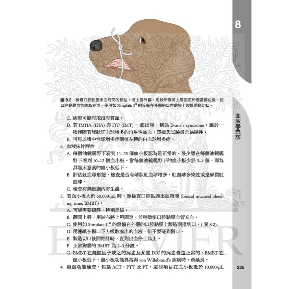 魏啥麻-《書》小動物急診手冊(上) (下單後進貨) 專業獸醫書籍-細節圖2
