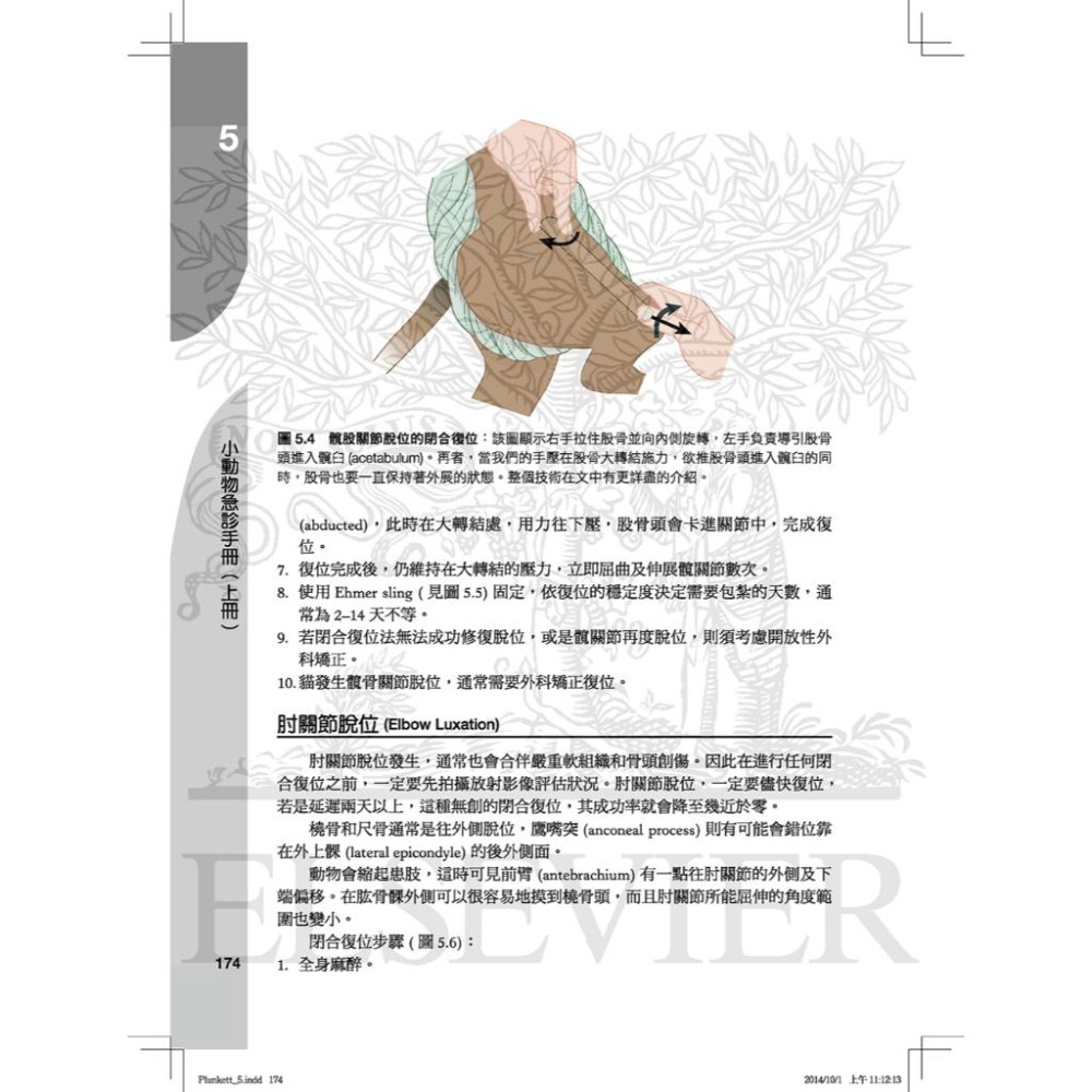 魏啥麻-《書》小動物急診手冊(上) (下單後進貨) 專業獸醫書籍-細節圖4