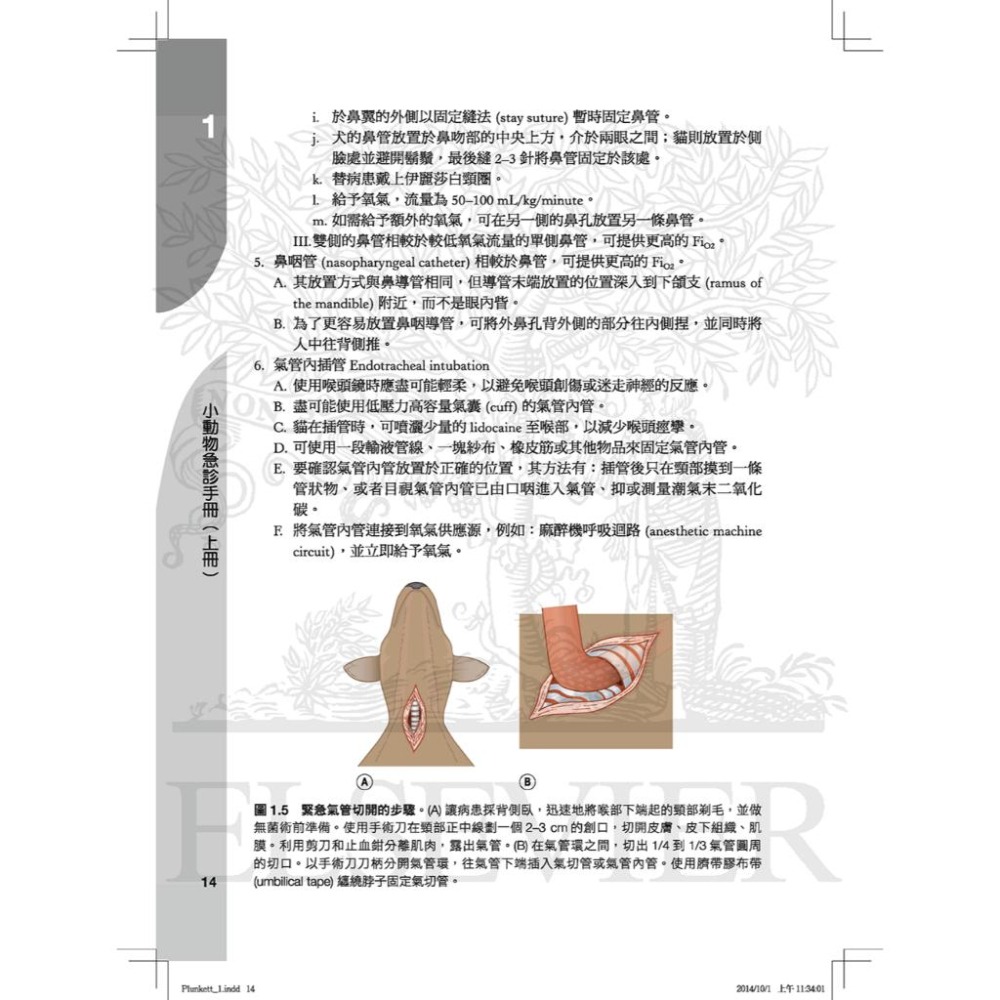 魏啥麻-《書》小動物急診手冊(上) (下單後進貨) 專業獸醫書籍-細節圖5