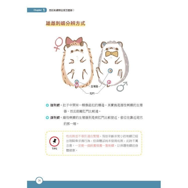 魏啥麻-《書》刺蝟完全飼育手冊：居家照護、性格互動、醫療疾病全面掌握一本通！-細節圖3