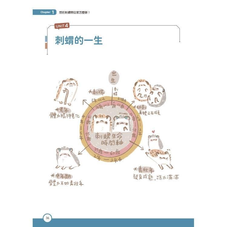 魏啥麻-《書》刺蝟完全飼育手冊：居家照護、性格互動、醫療疾病全面掌握一本通！-細節圖4