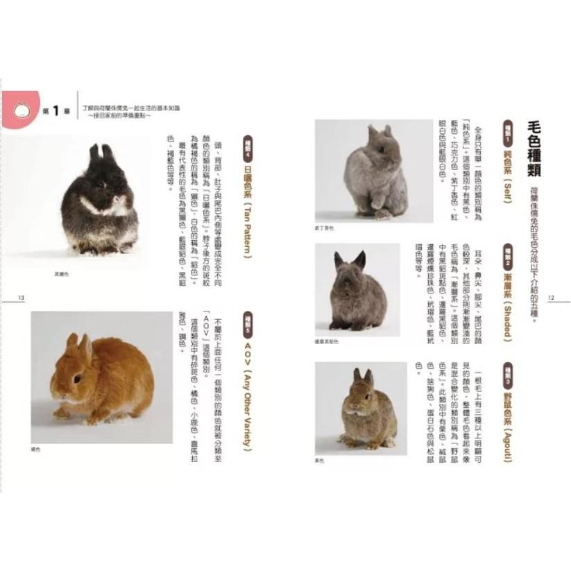 魏啥麻-《書》第一次養荷蘭侏儒兔就上手 ネザーランドドワーフ 飼育バイブル 長く元気に暮らす50のポイント-細節圖4