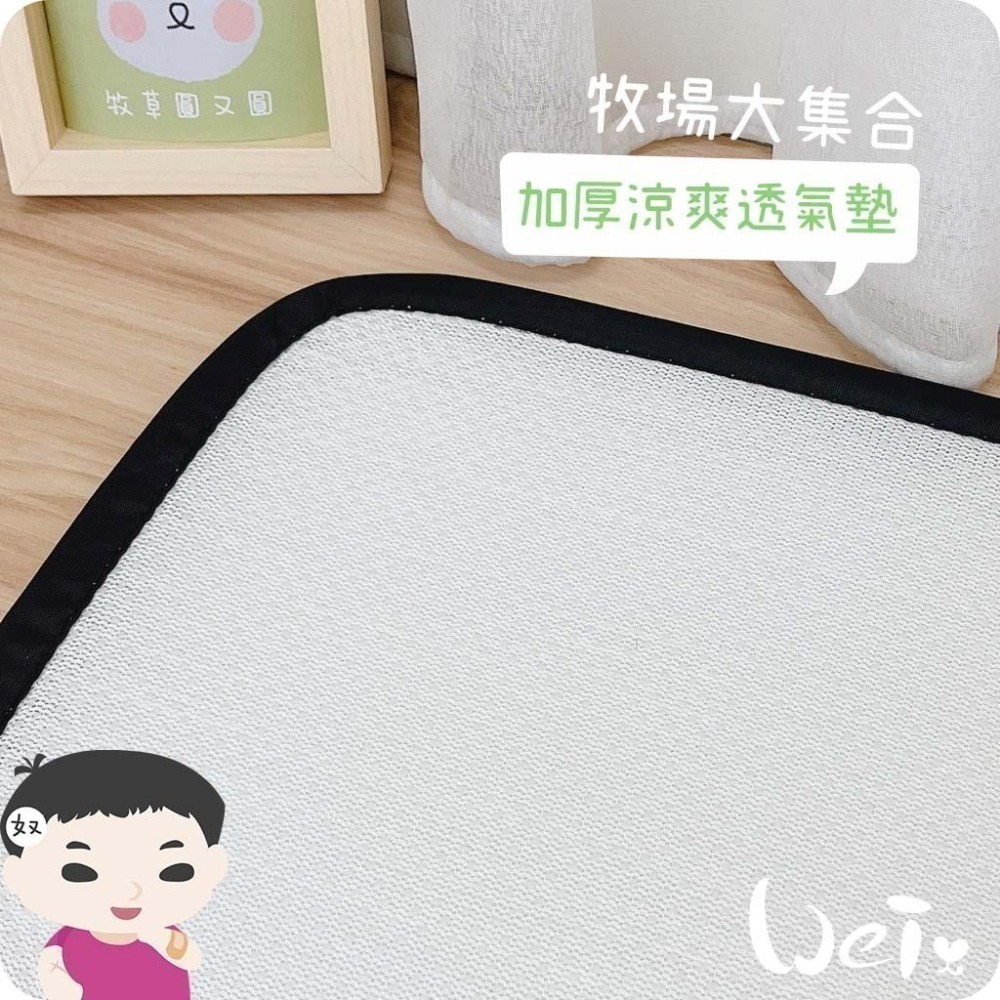 魏啥麻-牧草圓又圓 加厚涼爽透氣墊 (1.5公分超厚透氣墊) (3種花色/尺寸)-細節圖2